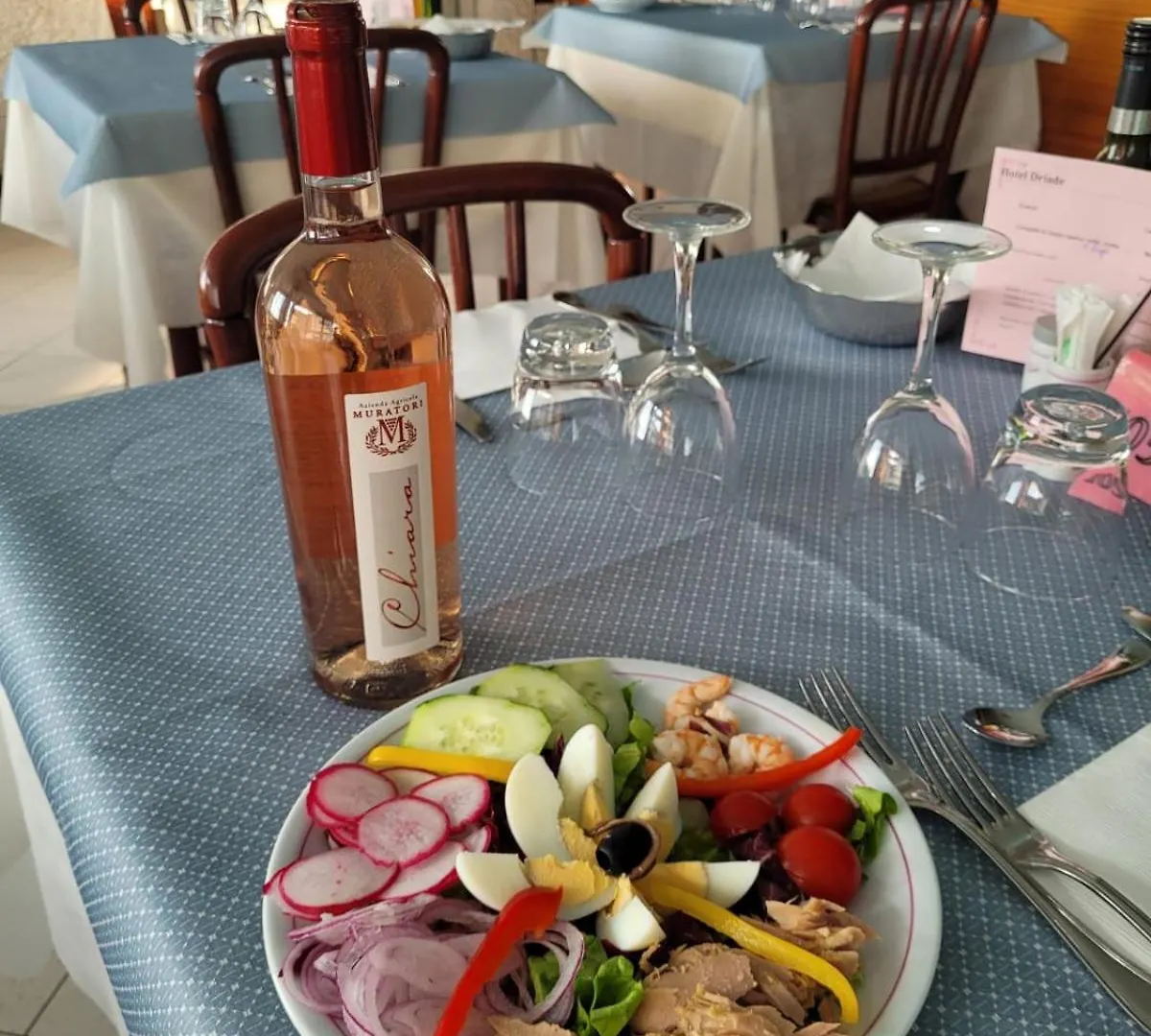 Hotel Driade Sul Mare Rimini