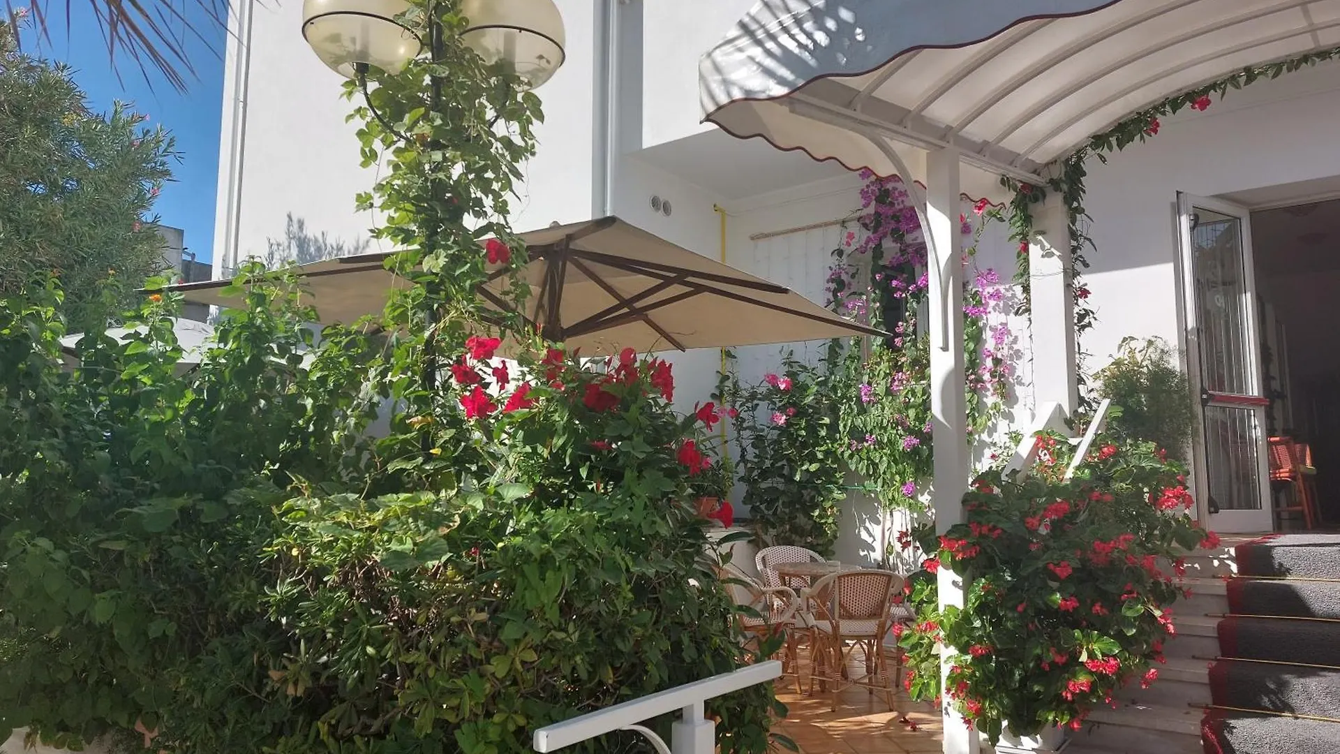 ***  Hotel Driade Sul Mare Rimini Italy