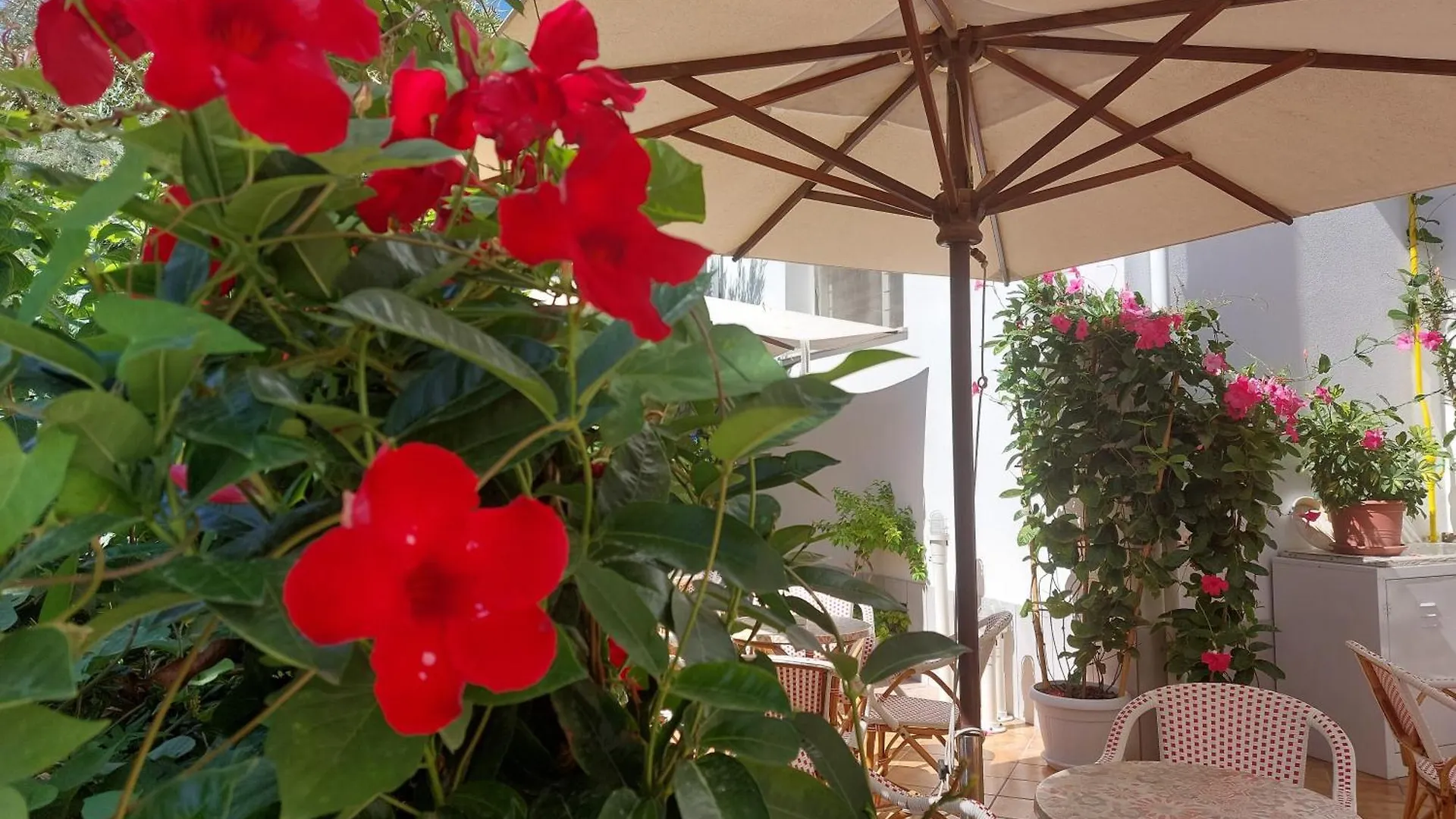 Hotel Driade Sul Mare Rimini