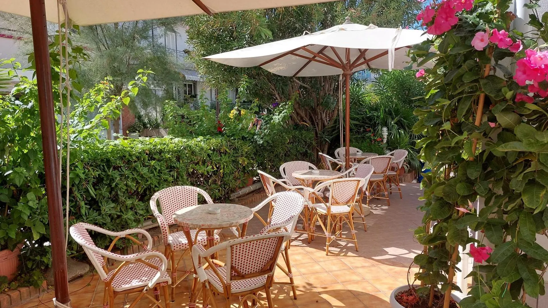 Hotel Driade Sul Mare Rimini