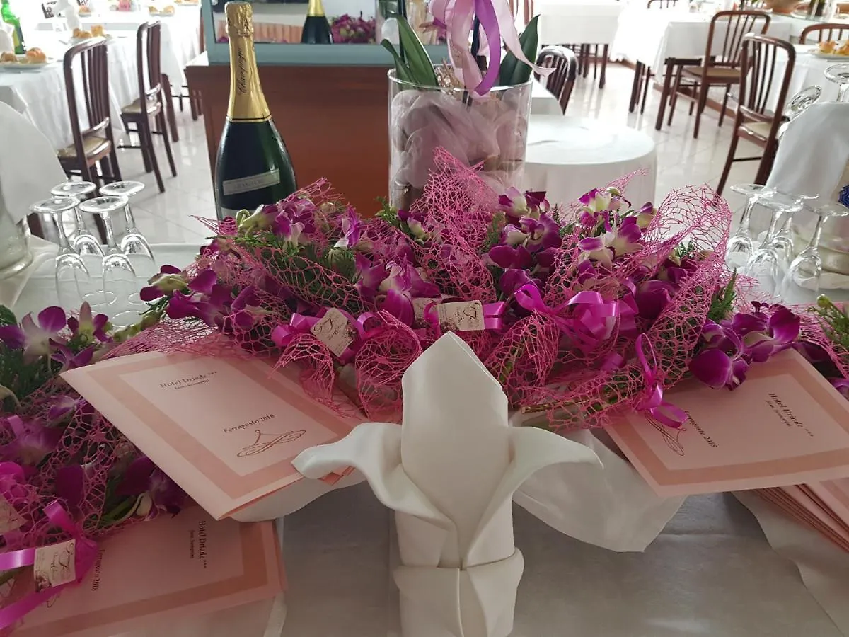 Hotel Driade Sul Mare Rimini